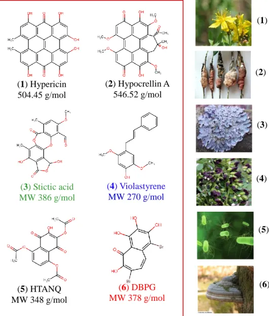 Figure  4.  Structure  of  the  sGC  inhibitors:  (1)  hypericin,  (2)  hypocrellin  A,  (3)  stictic  acid,  (4)  violastyrene  [2,5-dimethoxy-4-(3-phenylallyl)phenol],  (5)   2-hydroxy-3,5,8-triaceto-1,4-naphthoquinone  (HTANQ),  (6)  3,6-dibromo-purpuro