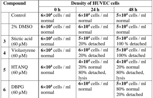 Table 3. Density of HUVEC cells incubated with 60 µM of the inhibitors during 48 hours 
