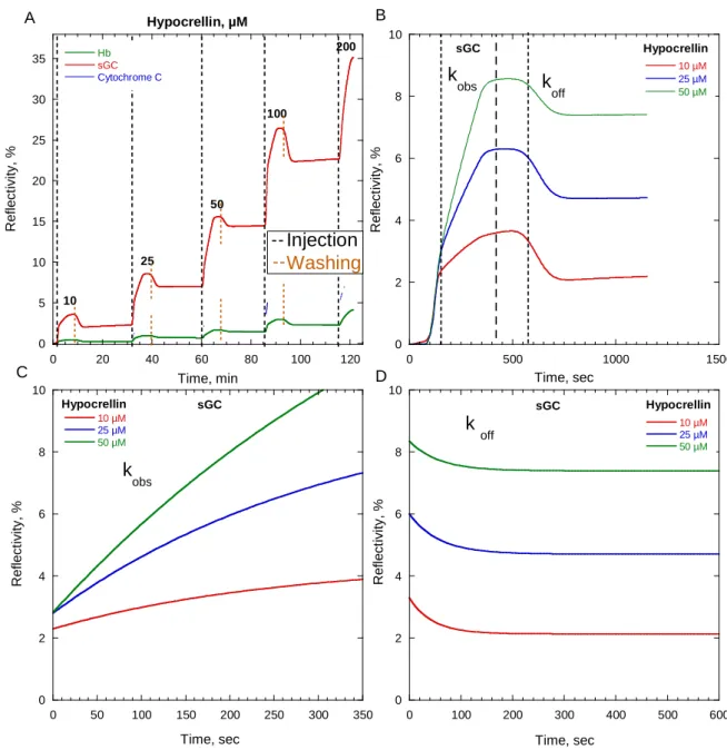 Figure 15. Kinetics of hypocrellin binding to sGC examined by surface plasmon resonance (A)