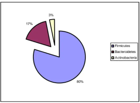 Fig.  5: Répartition des phyla majoritaires qui composent le microbiote intestinal (Tap et al., 2009)