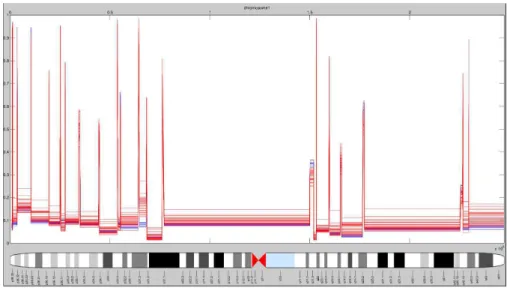 Figure 2.3: Joint Regularization of methylation profiles of chromosome 1 using a total-variation penalty show similar breakpoints of hyper and hypo-methylated blocks