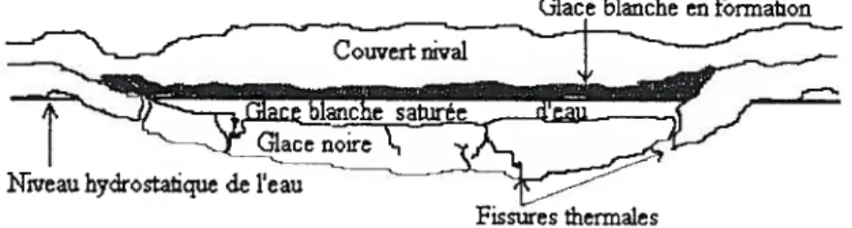 figure 2. Formation de la glace blanche vue en coupe