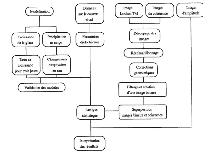 Figure 9. Organigramme méthodologique.