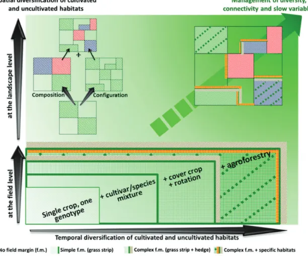 Figure 1.4: The increase in plant diversity in time (X-axis) and in space (Y-axis) at field, field margin, and  landscape levels (reproduced from Duru et al., 2015)