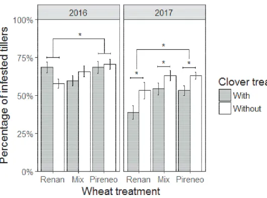 Figure  3.3:  Percentage  of  colonized  tillers  infested  by  aphids  at  their  peak  of  density  in  2016   (n = 150) and in 2017 (n = 90) according to wheat and clover treatments