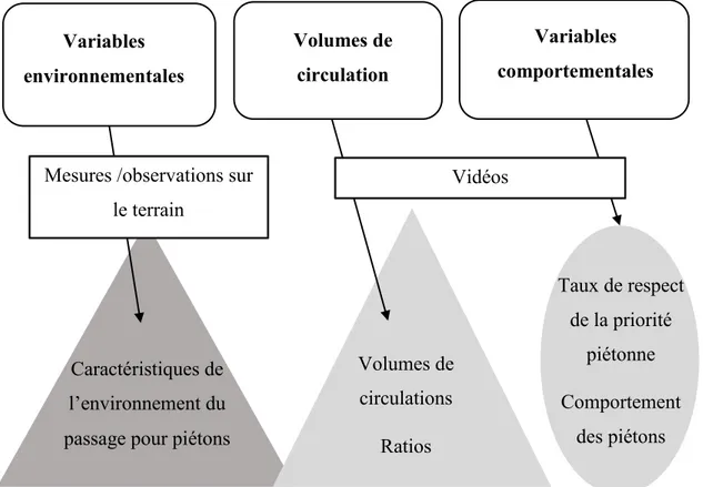 Figure 3-5 : Variables et modes de collecte de données Variables environnementales   Variables  comportementales  Volumes de circulations  Ratios Mesures /observations sur 