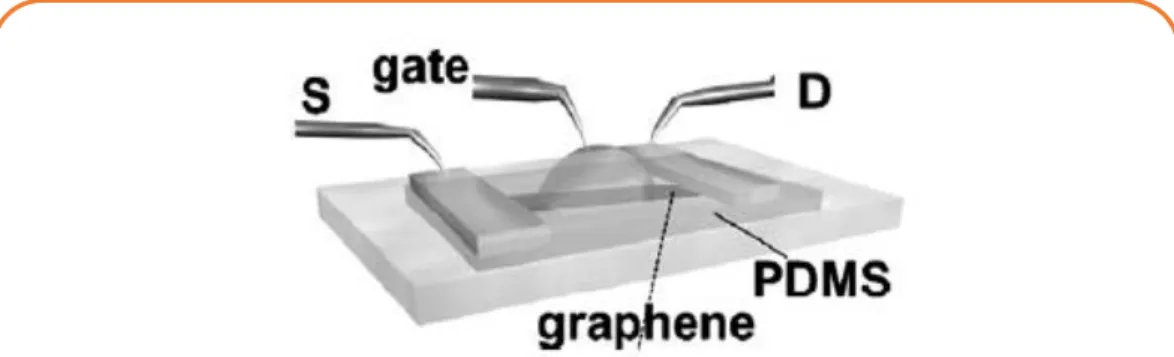 Figure 31. Vue d’artiste d’un transistor à effet de champ à base de graphène à grille liquide [73] 