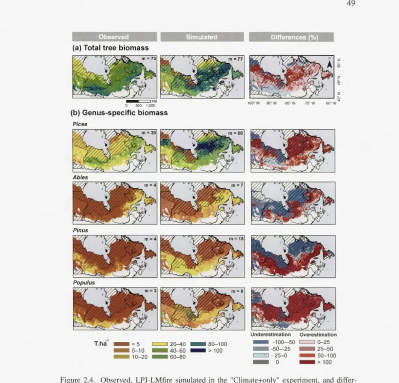 Figure  2.4.  Ob  erved,  LPJ-LMfire  simulated  in  the  "Climate+only"  experiment,  and  differ- differ-ence  (%)  in  (a) mean total  aboveground bioma  and (b) genu  - pecific aboveground bioma  (T  ha- 1)  between  2000  and  2006  acro  ea  