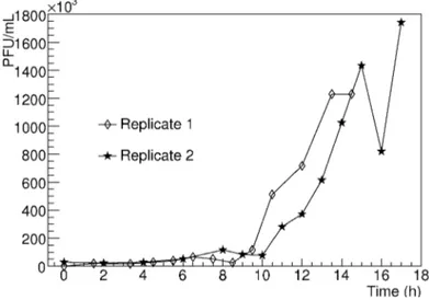 Figure 6. One-step growth curve of SIRV2 infection of S. islandicus cells