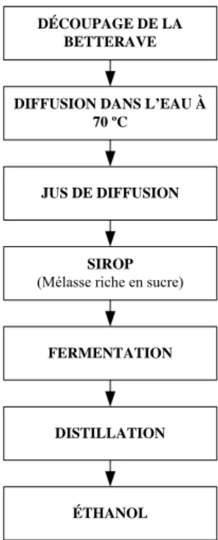 Figure 1.2    Schéma simplifié de la fabrication de l’éthanol à partir de la betterave sucrière  Source : Inspiré de la CNUCED (2007a) 
