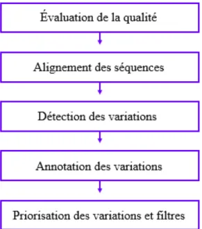 Figure 7. Étapes générales d’un pipeline d’analyse bio-informatique des variations suite  au séquençage de l’exome 