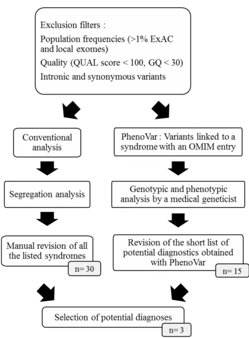 Figure 1. Schema illustrating the variants filtration steps and the selection of potential  diagnoses between PhenoVar and the conventional analysis
