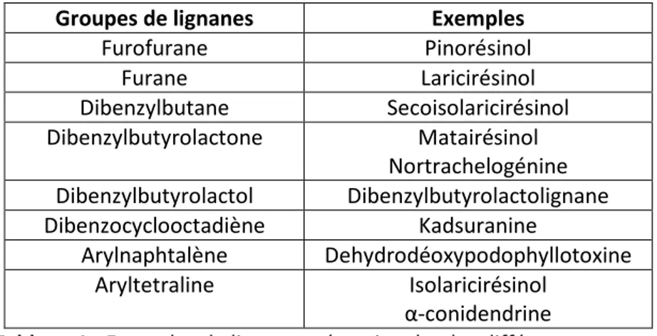 Tableau 1 : Exemples de lignanes répartis selon les différents groupes. 
