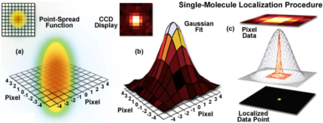Figure 1.6: Gaussian fit to the point-spread function. The point spread function ias detected on a pixel array (a), and the signal is fit with a Gaussian (b)