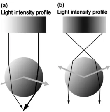 Figure 3.1: Laser ray geometry within a dielectric bead. The rays are refracted within the bead