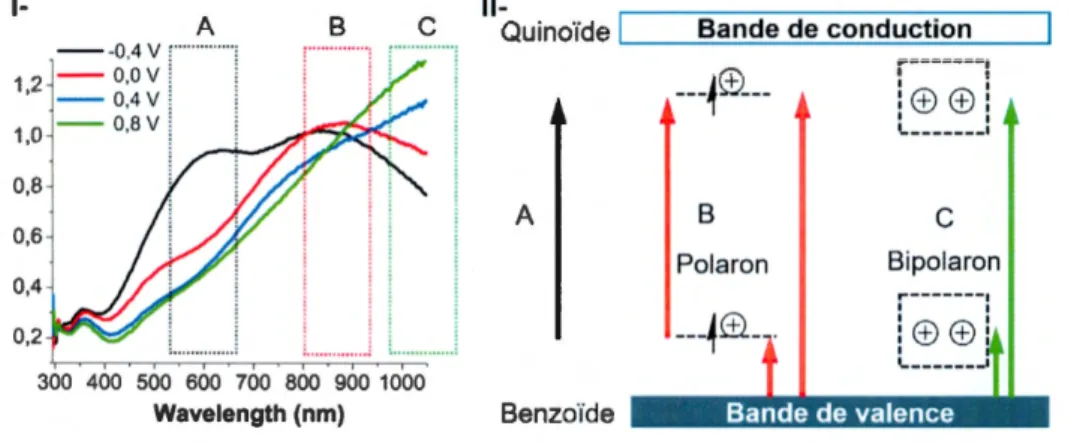 Figure  1.31  1- Spectre  UV-vis  d' un  PC  aromatique  selon  le  taux  d'oxydation  où 