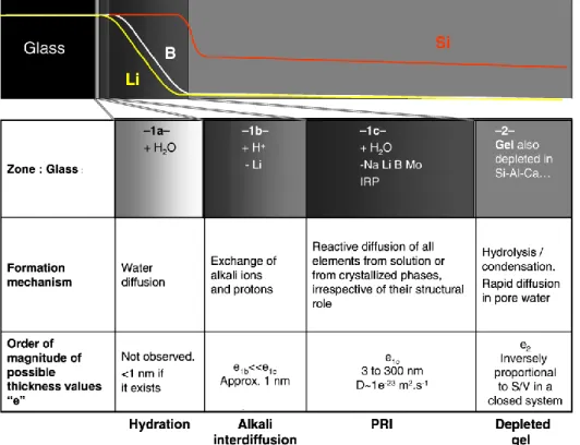 Figure 2-2 Diagram of the different amorphous phases and mechanisms of their generation (obtained  from Frugier et al., 2008) 