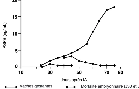 Figure  II-12  Evolution  de  la  concentration  en  protéine  spécifique  de  la  gestation  sanguine  (PSPB)  chez  une  vache  gestante  et  une  vache  en  mortalité  embryonnaire  tardive  induite  (d’après  Humblot,  2001) 