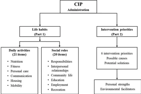 Figure 1 shows a flow diagram representing the administration process of the CIP tool