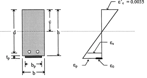 Figure 3.2 - Dimensions de la section et distribution des deformations