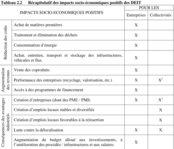 Tableau 2.2  Récapitulatif des impacts socio-économiques positifs des DEIT 