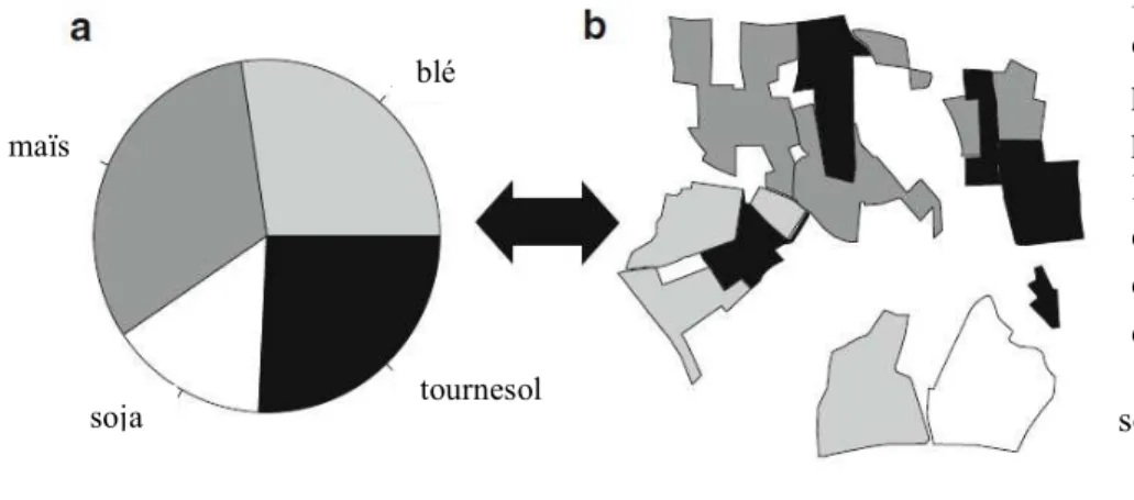 Figure 1.8. Définition  de l’assolement : la  proportion des surfaces  par culture (a) et  l’allocation spatiale des  cultures (b) sont les  deux éléments emboîtés  d’un assolement
