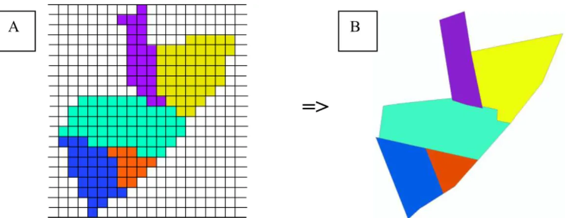 Figure 2.6. Changement de mode de représentation du spatial du raster (A) au vectoriel (B): l’unité de  base de calcul passe du pixel à la parcelle 