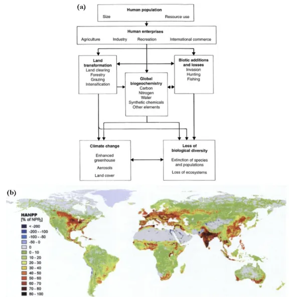 Figure 1-1 : Origine anthropique du changement global. (a) Effet direct et indirect de l’Homme sur  le système terrestre (Vitousek, 1997)