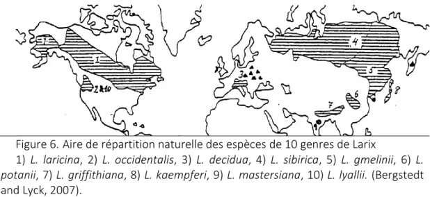 Figure 6.  Aire de répartition naturelle des espèces de 10 genres de Larix 
