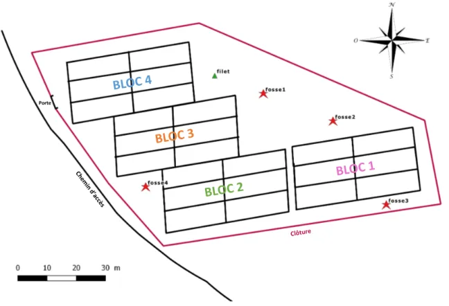 Figure 24. Plan GPS des différents éléments du site de Forêt de Fontaine d'Olive. 