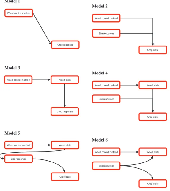 Figure 4. Diagrammes schématiques des différentes approches de modélisation adoptées par les chercheurs en gestion de la  végétation (Figure tirée de Mason et Dzierzon 2006)