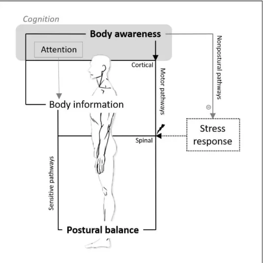 Figure 8 – La conscience corporelle et l’équilibre postural (Article n°6)  