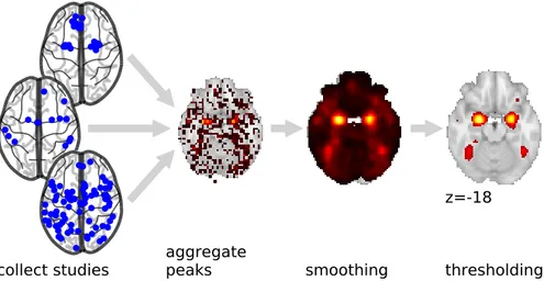 Figure 3.1: example CBMA for “emotion”. This simplified illustration sum- sum-marizes the CBMA process: we collect many studies that mention “emotion”, extract their coordinates, estimate the coordinate density or the activation likelihood, and possibly th