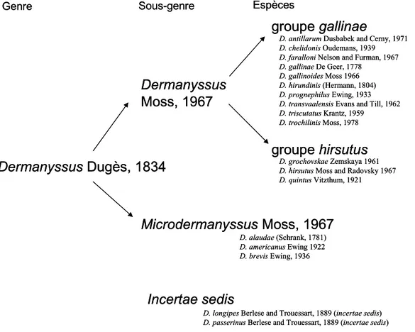 Figure 1. Aperçu de la classification et de la composition du genre  Dermanyssus au début de l’étude, selon Moss (1978)
