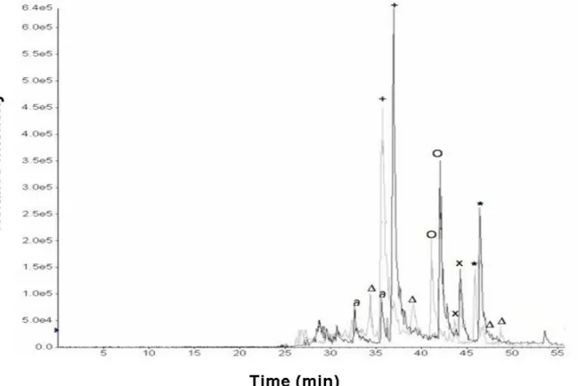 Figure  3.3.  Overlapped  chromatograms  of  nitrated  BSA  recorded  by  PIS  analysis  of  ions  114  (grey 