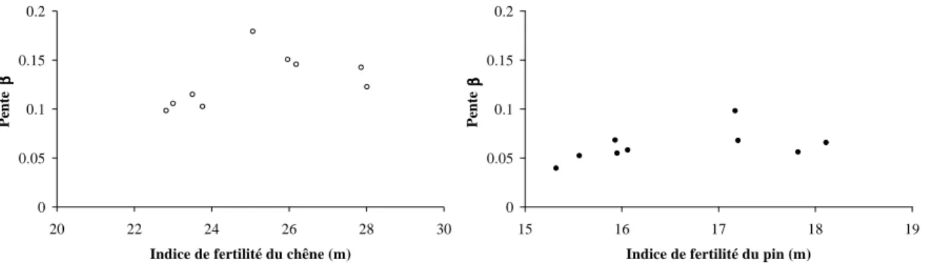 Figure 4.6 : A gauche, relation entre la pente  β  du modèle chêne arbre indépendant des distances et l'indice de 
