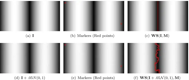 Figure 2.8: Watershed transform for a given image I, with markers point M are the red points in (b) and (e)