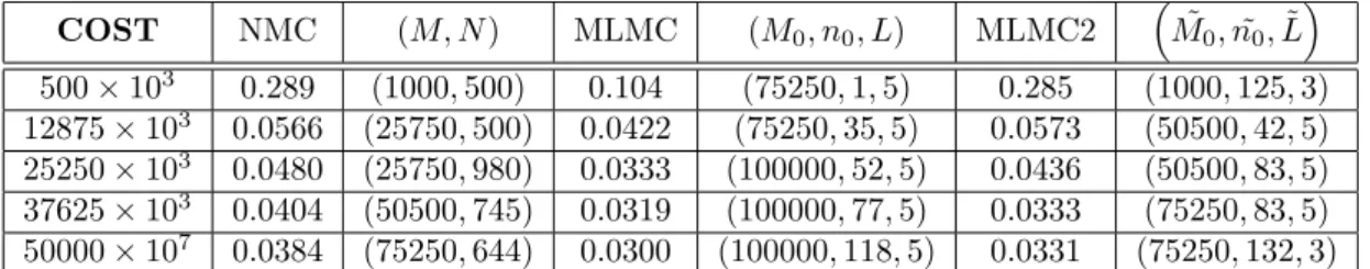 Table 5.1: COST/RMSE/Optimal parameters