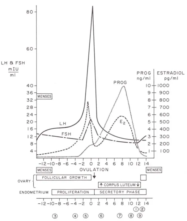 Figure 2.1    Variation de la concentration des hormones gonadotrophines (FSH et LH), de 