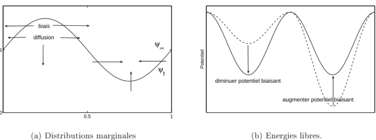 Fig. 2.3. (a) Distributions marginales de la variable λ , au temps t (ligne pleine) et limite en temps long (pointillés)