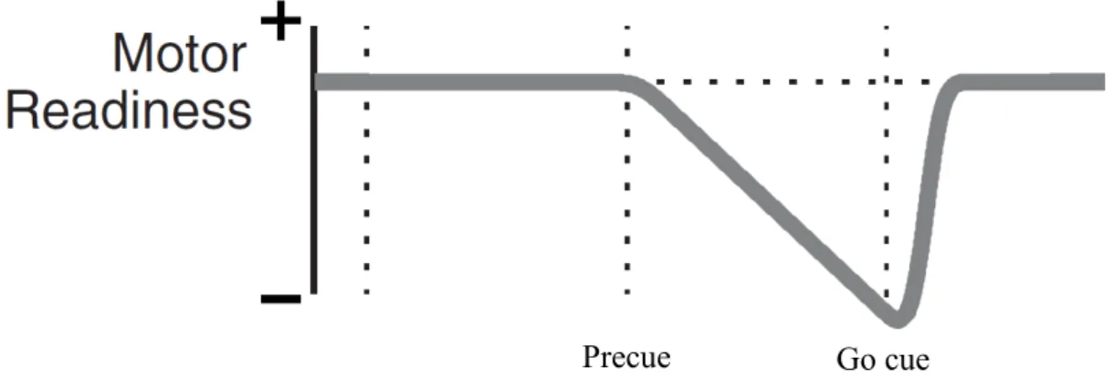 Figure X : Désynchronisation en bêta en préparation à un mouvement. Le graphique représente la 