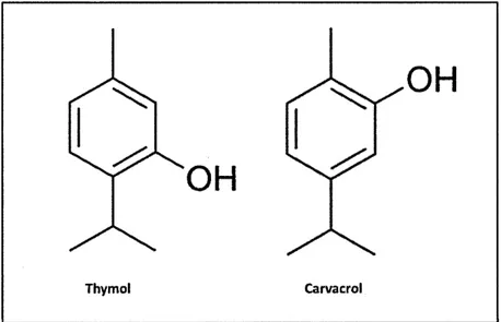 Figure 2.2 : Structure chimique du thymol et du carvacrol 