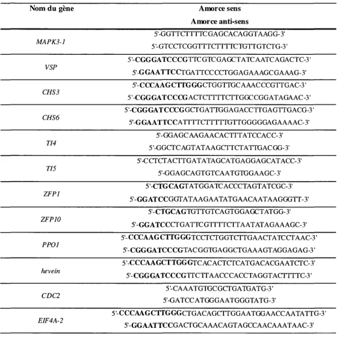 Tableau 2. Sequences des amorces utilisees pour le clonage des sequences promotrices  des genes suivants, a partir d'ADN genomique de P