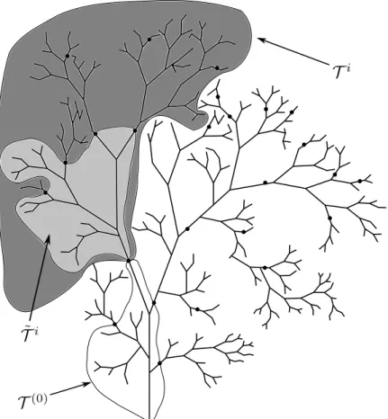 Figure 3.2: The tree T 0 , T (0) , and a tree T i and its sub-tree T ˜ i belonging to the ﬁrst