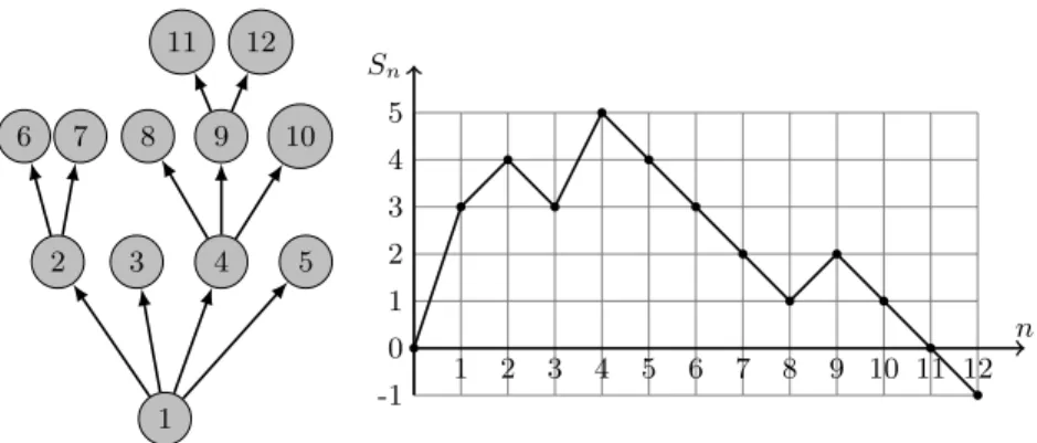 Fig. 3.2. Arbre et marche aléatoire associée.
