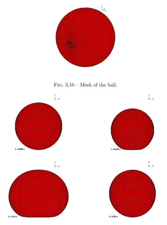 Fig. 3.10 – Mesh of the ball.