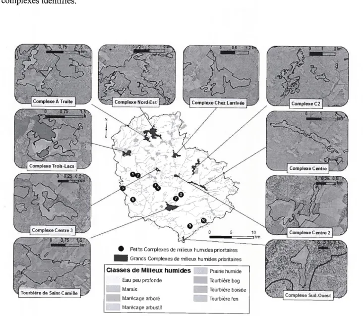 Figure 4. Localisation des complexes de milieux humides prioritaires en termes de conservation dans le bassin versant du lac Trois-Lacs, Québec