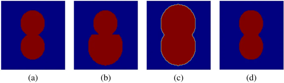 Fig. 2.1: Synthetic example where only the image top half contains relevant information