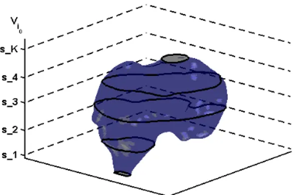 Fig. 2.2: Example of a 3d liver surface x whose subcomponents (x 1 , ..., x m ) are obtained by intersecting the