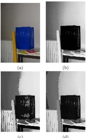 Figure 2.11.: Projection of the total order on the image support: (a) original RGB image I(p) ; (b) lexicographic order; (c) bit-mixing order; (d) our image adapted total order.